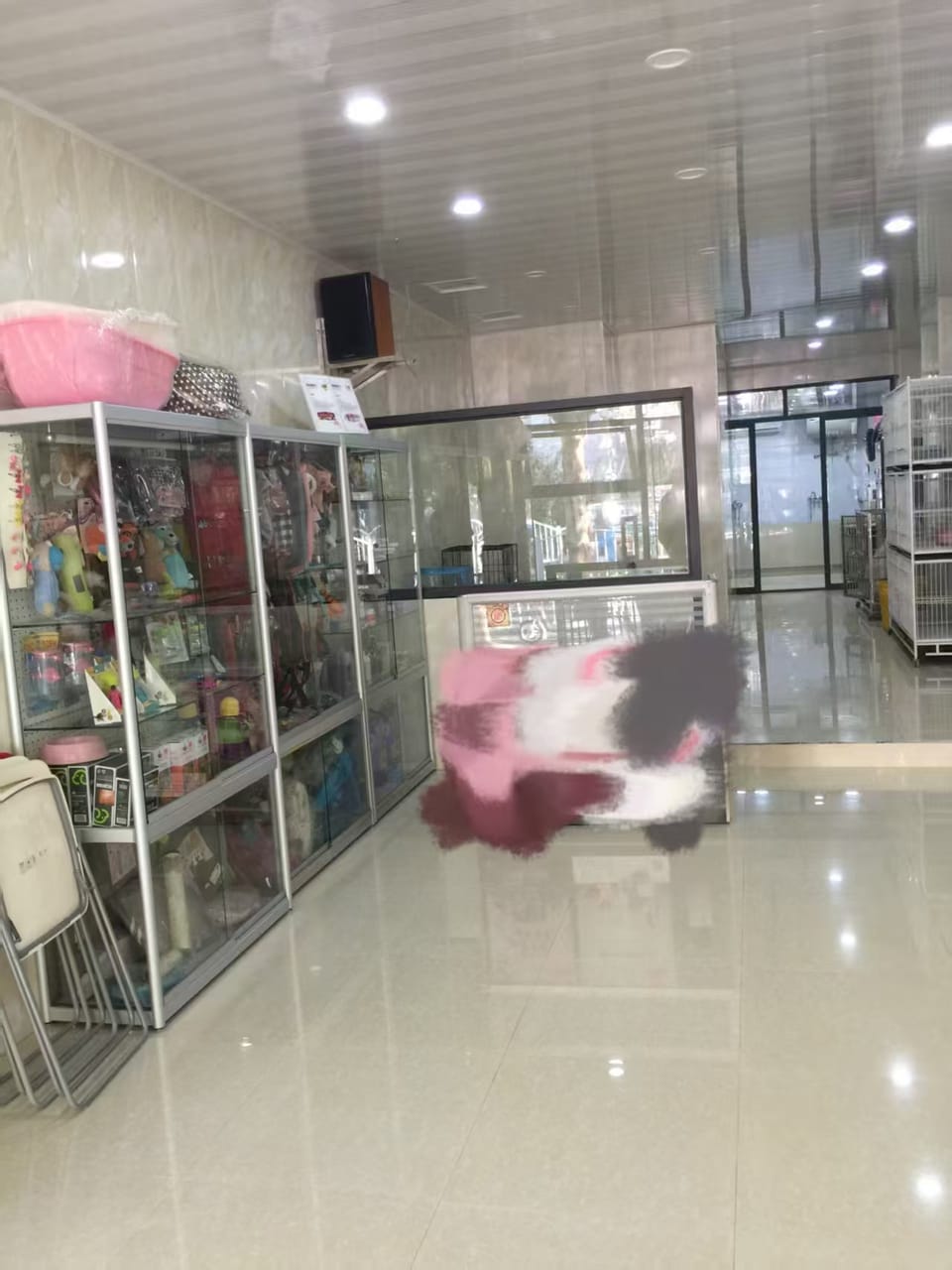 新沪路宠物店转让！经营14年老店，客源无忧，可带资源渠道-2