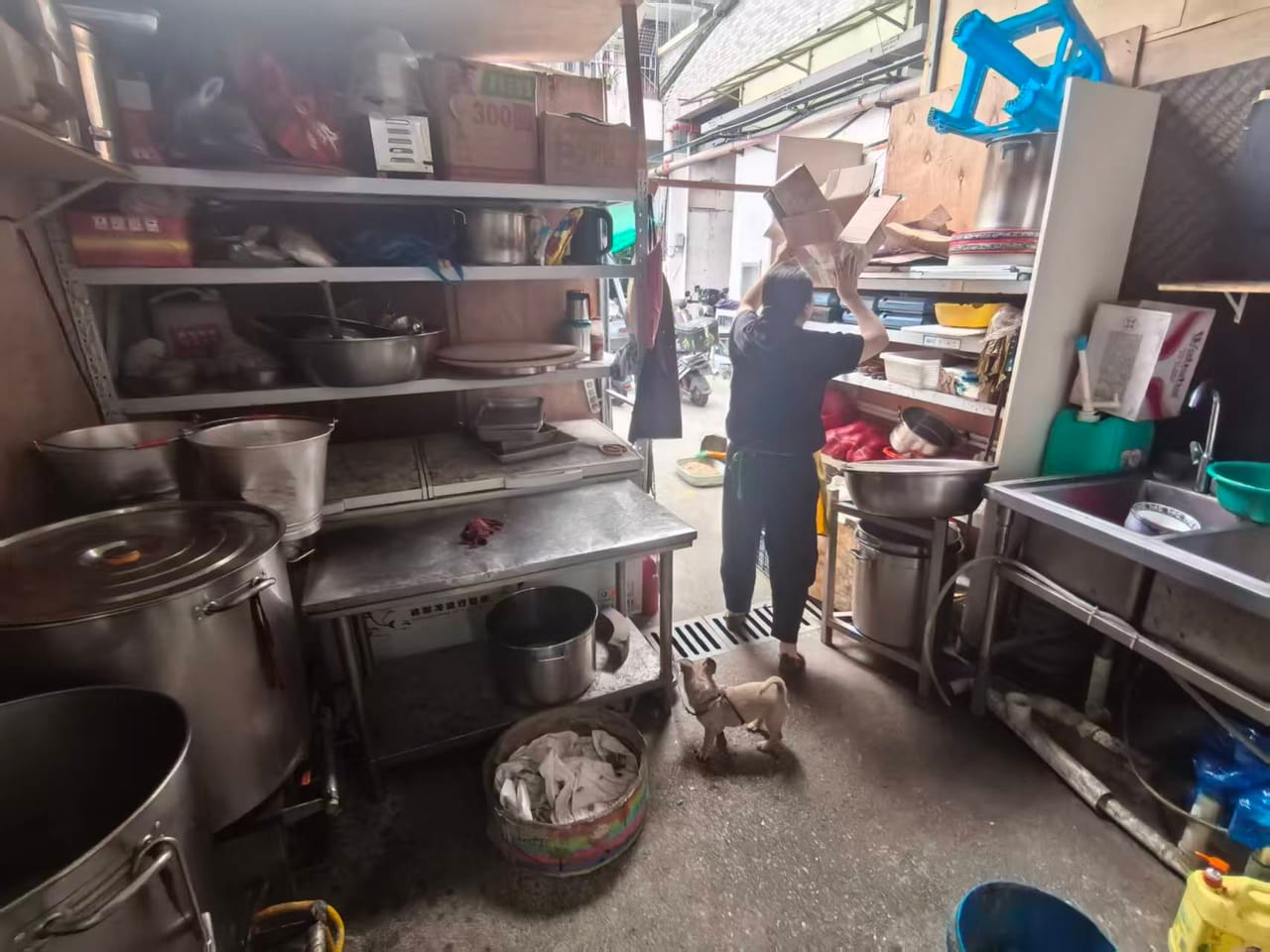 银都路旺铺转让 多小区商务分布，5000/月 带天然气-10