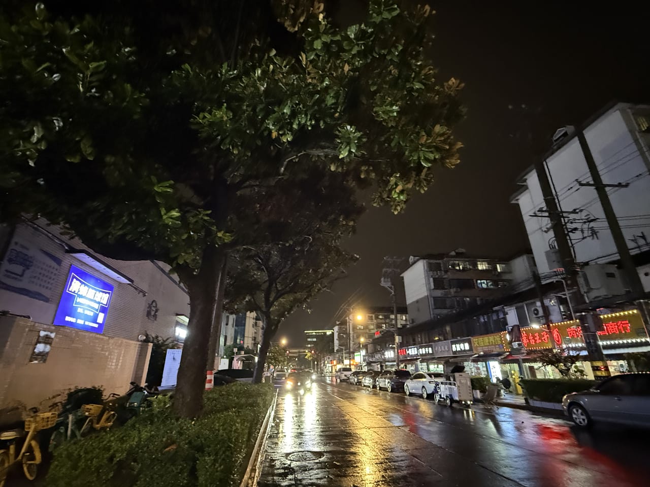 嘉定区德园路十字路口旺铺直租！带简装 除餐饮都可以人员密集-10